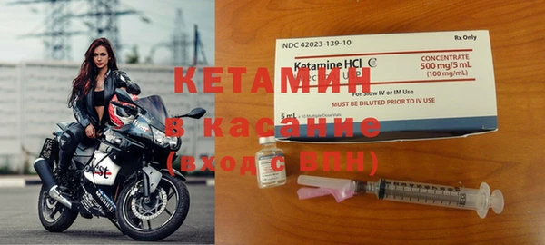 сатива Осташков